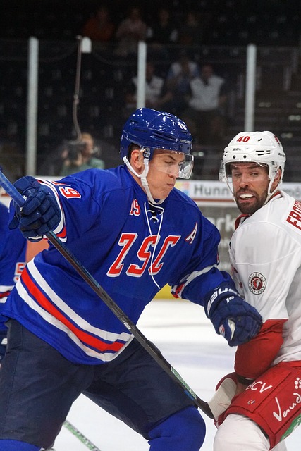 的恢复计划 的恢复计划