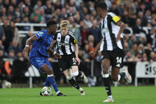 我们该如何 我们该如何